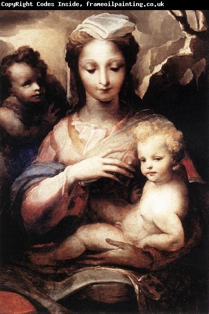 BECCAFUMI, Domenico Madonna with the Infant Christ and St John the Baptist  gfgf